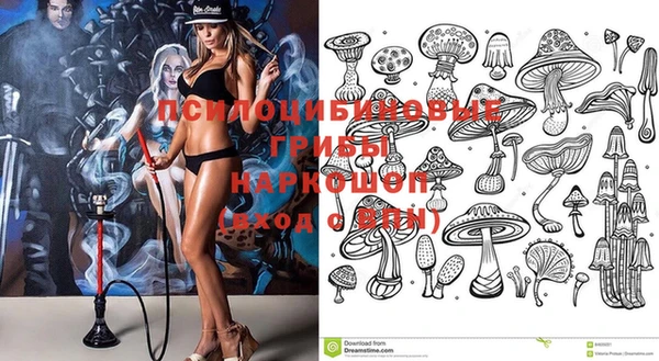 ешки Алзамай