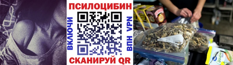 даркнет сайт Дыгулыбгей OMG вход Галлюциногенные грибы мицелий